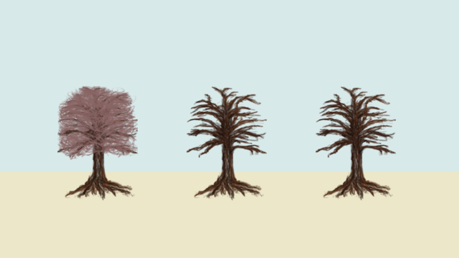 three trees where one has leaves